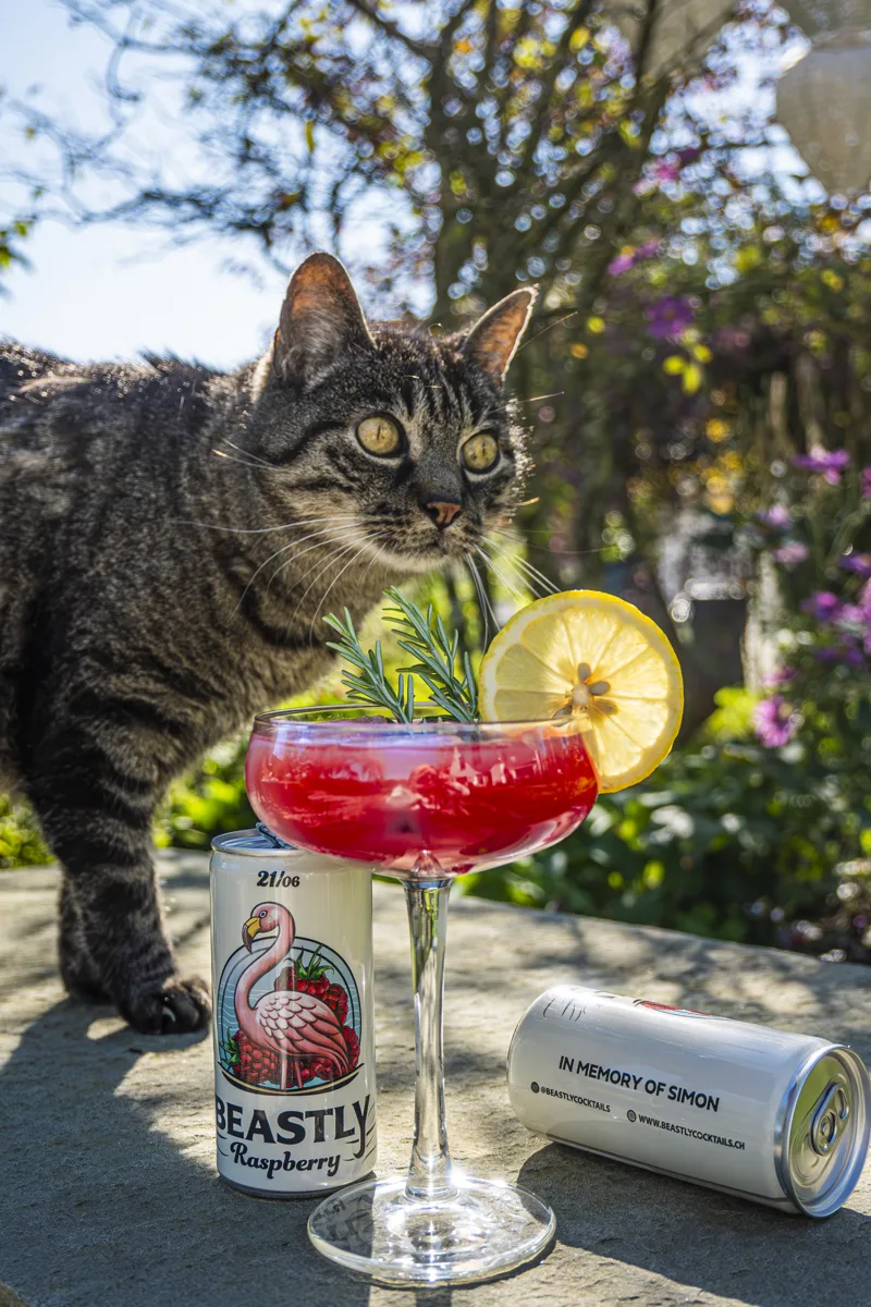 BEASTLY Raspberry Drink mit Katze